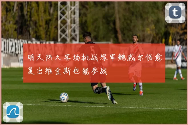 明天热火客场挑战绿军鲍威尔伤愈复出维金斯也能参战